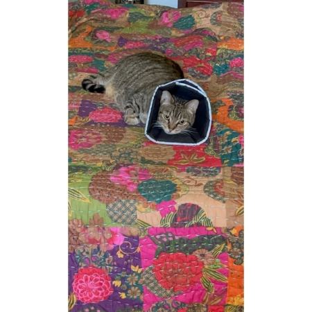 Customer image 4