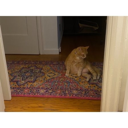 Customer image 122