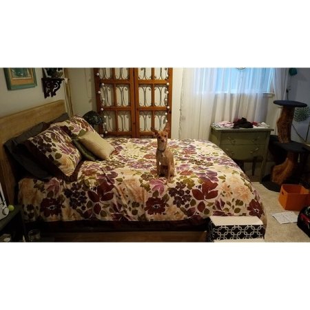 Customer image 261