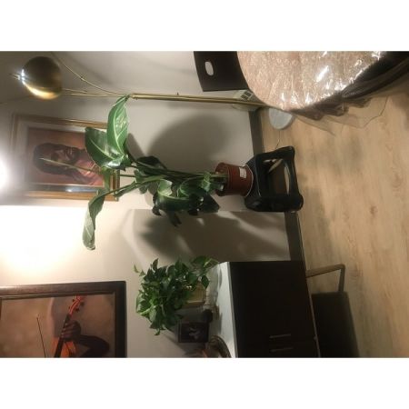 Customer image 78