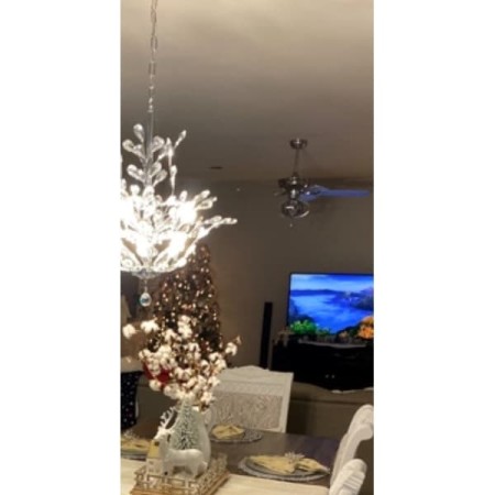 Customer image 30