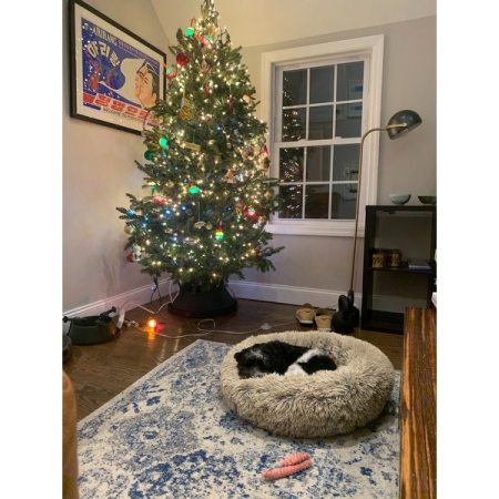 Customer image 165