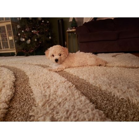 Customer image 126
