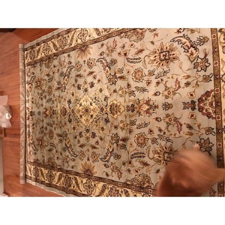 Customer image 12