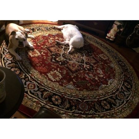 Customer image 246