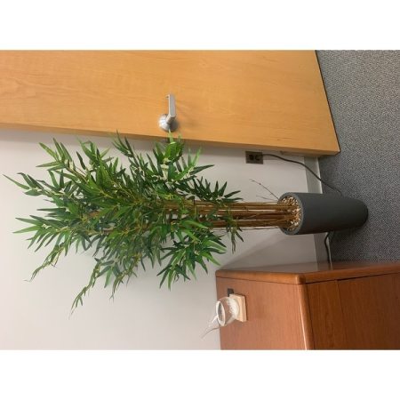 Customer image 17