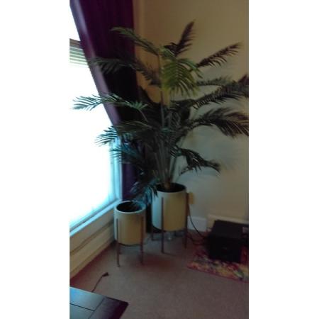 Customer image 68