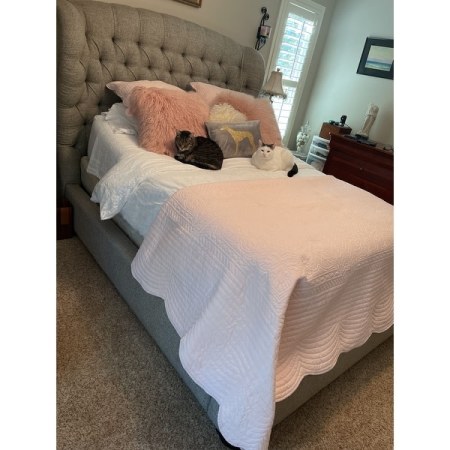 Customer image 22