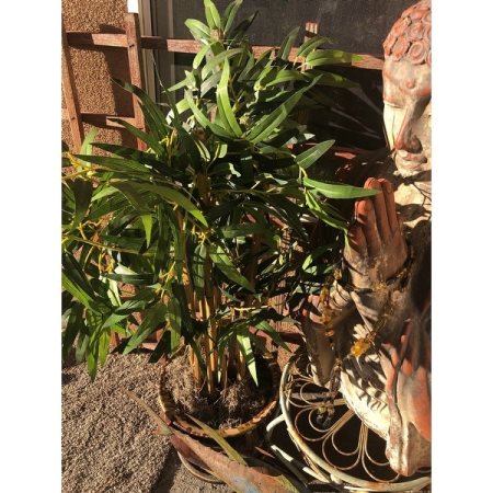 Customer image 2