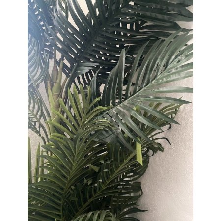 Customer image 47
