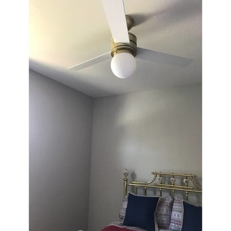 Customer image 20