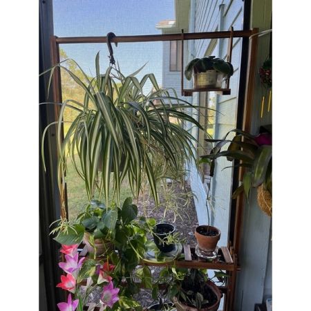 Customer image 4