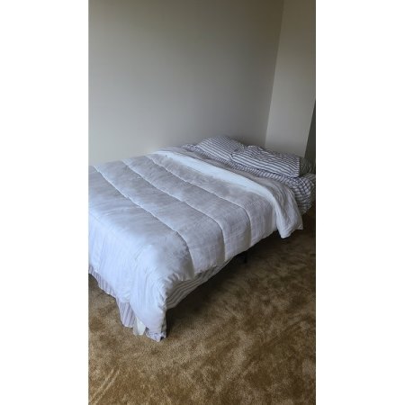 Customer image 253