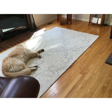 Customer image 45