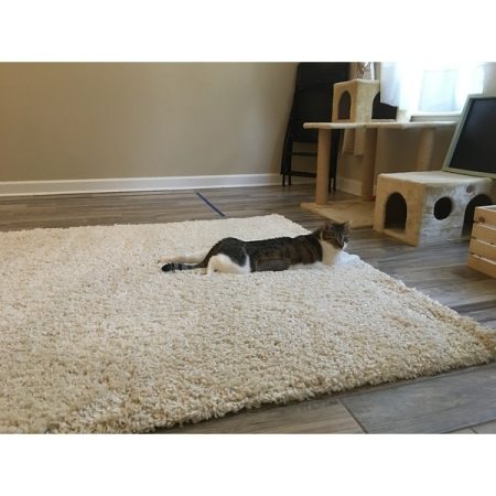 Customer image 74