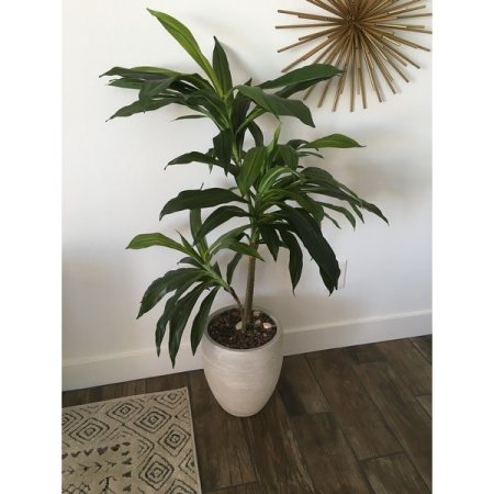 Customer image 70