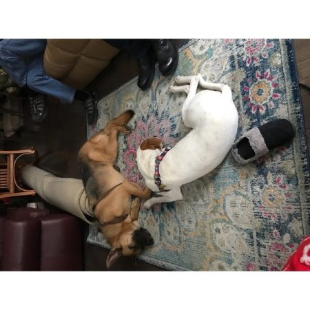 Customer image 281