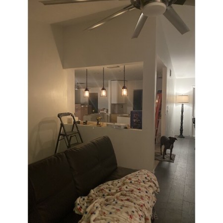 Customer image 2