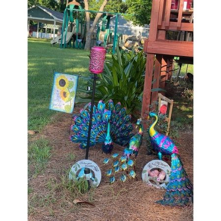 Customer image 30