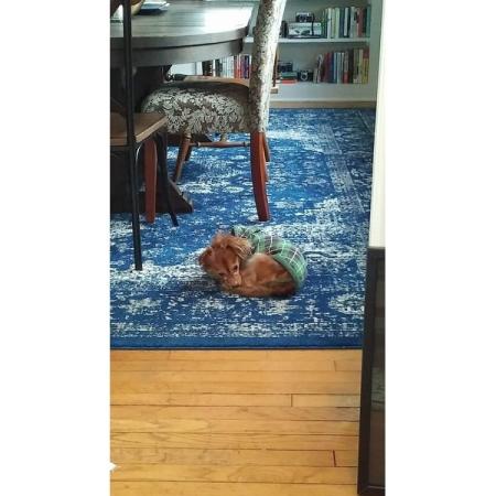 Customer image 1058