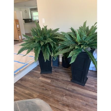 Customer image 4