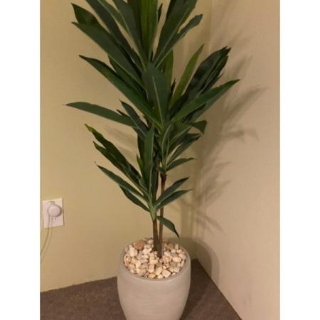 Customer image 77