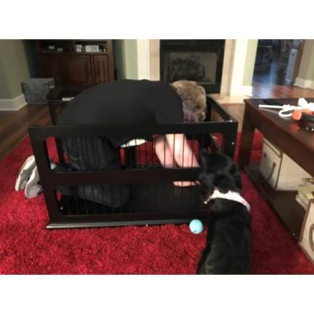 Customer image 7