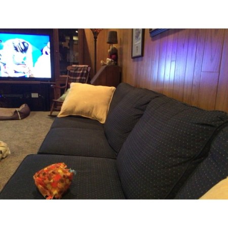 Customer image 6