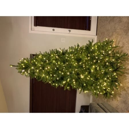 Customer image 7