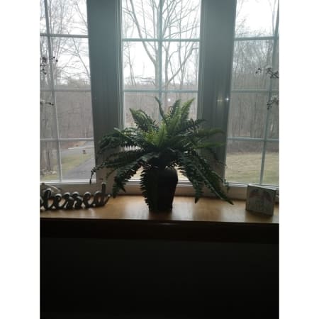 Customer image 8