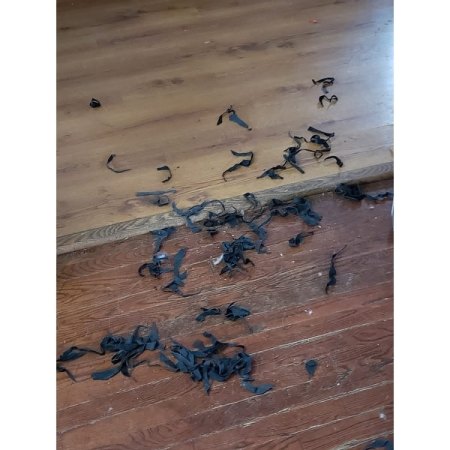 Customer image 213