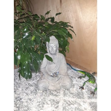 Customer image 351