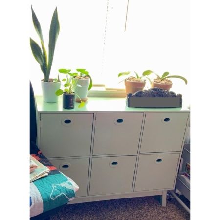Customer image 148