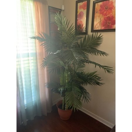Customer image 145