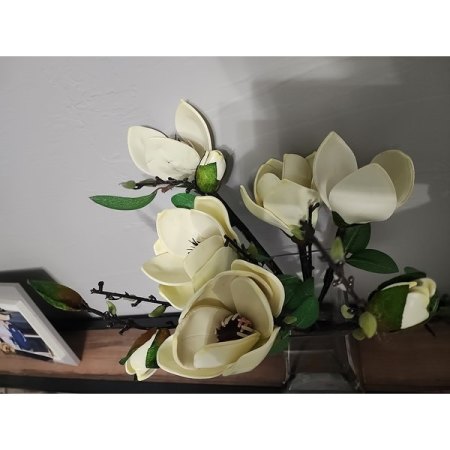 Customer image 3