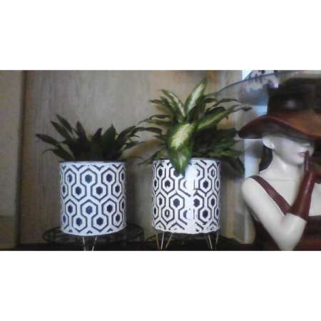 Customer image 12