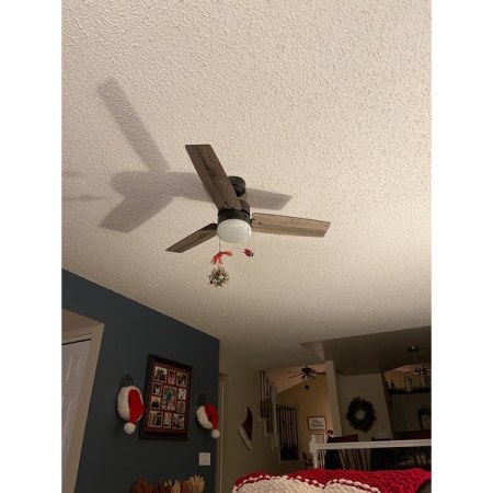 Customer image 21