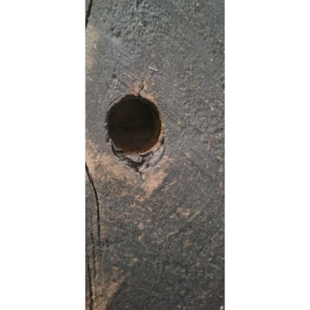 Customer image 10