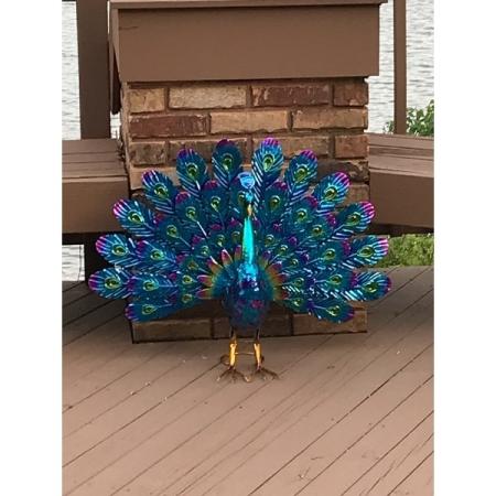 Customer image 23
