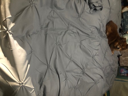 Customer image 21