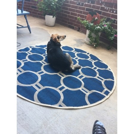 Customer image 9