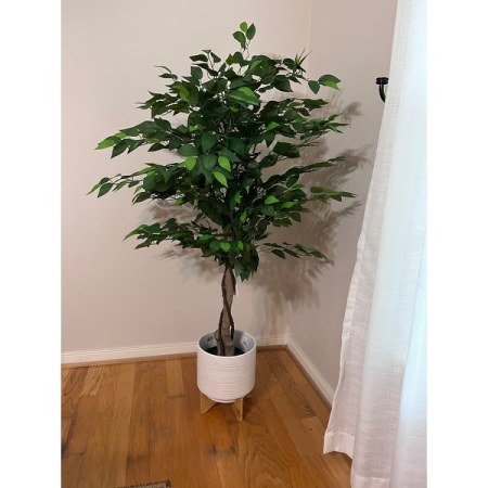 Customer image 3