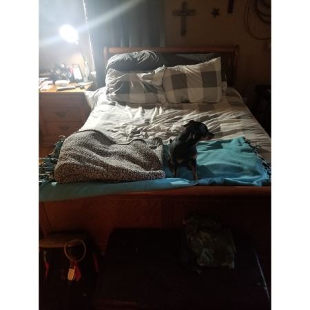 Customer image 341