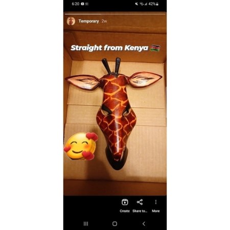 Customer image 1