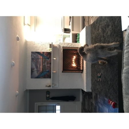 Customer image 151