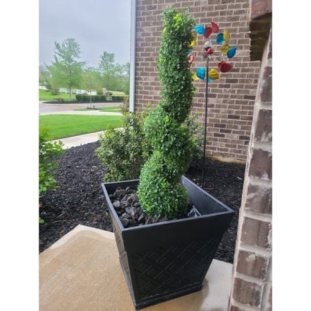 Customer image 1