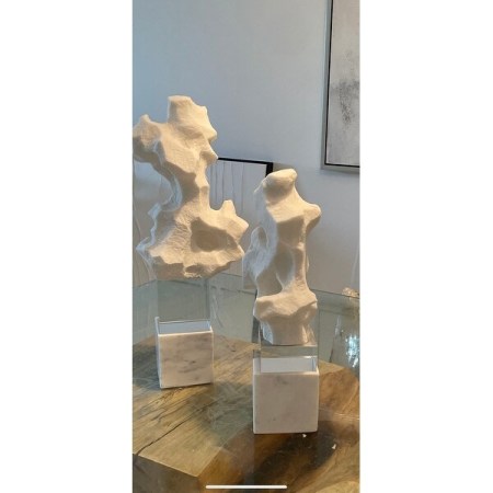 Customer image 1