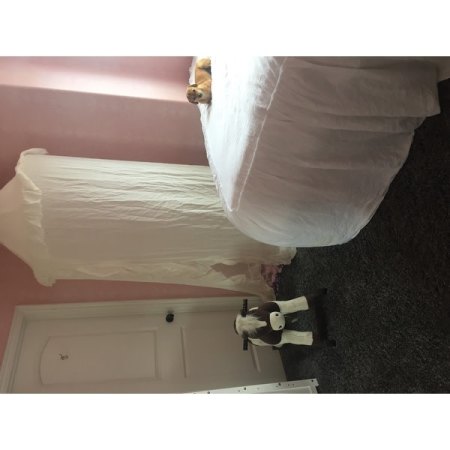 Customer image 197