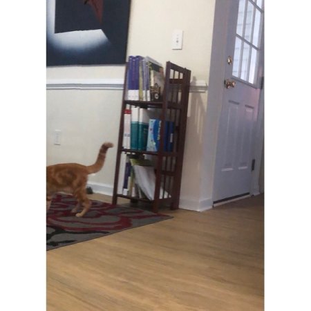 Customer image 21