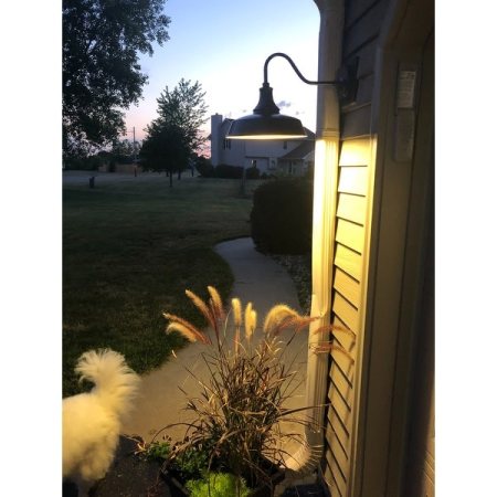 Customer image 3